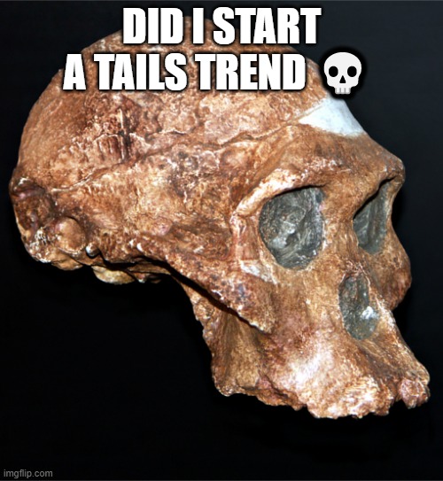 ik I'm a little too late | DID I START A TAILS TREND 💀 | image tagged in skull | made w/ Imgflip meme maker