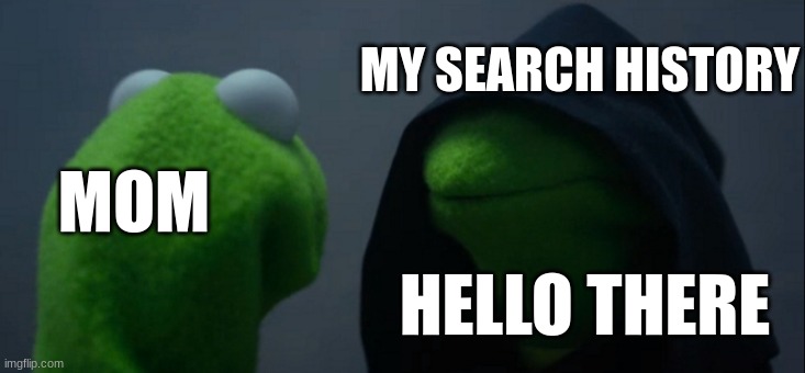 delete your search history!!! | MY SEARCH HISTORY; MOM; HELLO THERE | image tagged in memes,evil kermit | made w/ Imgflip meme maker
