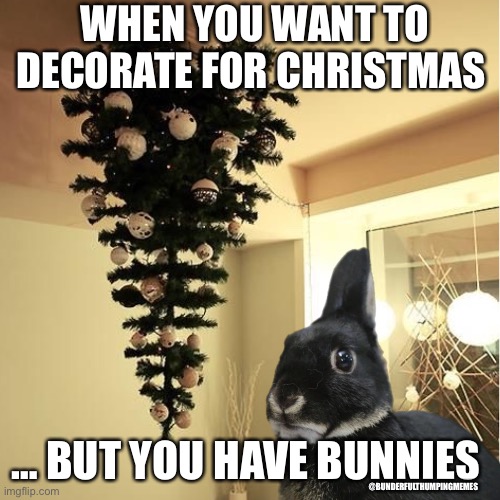 bunny christmas |  WHEN YOU WANT TO DECORATE FOR CHRISTMAS; … BUT YOU HAVE BUNNIES; @BUNDERFULTHUMPINGMEMES | image tagged in bunny | made w/ Imgflip meme maker