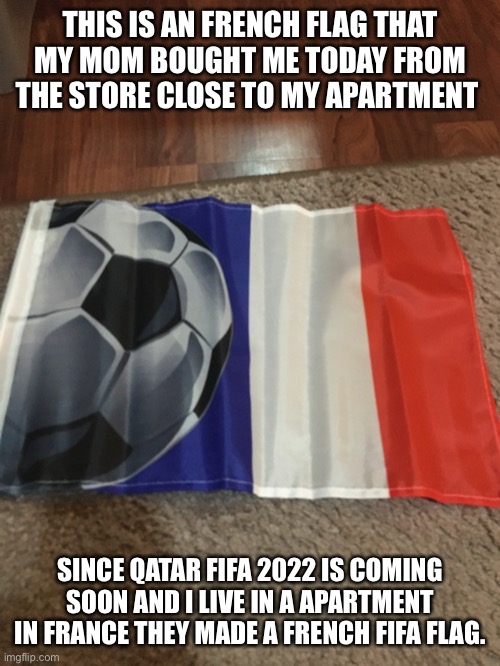 A flag that my mom bought me | THIS IS AN FRENCH FLAG THAT MY MOM BOUGHT ME TODAY FROM THE STORE CLOSE TO MY APARTMENT; SINCE QATAR FIFA 2022 IS COMING SOON AND I LIVE IN A APARTMENT IN FRANCE THEY MADE A FRENCH FIFA FLAG. | image tagged in fifa,flags,memes | made w/ Imgflip meme maker