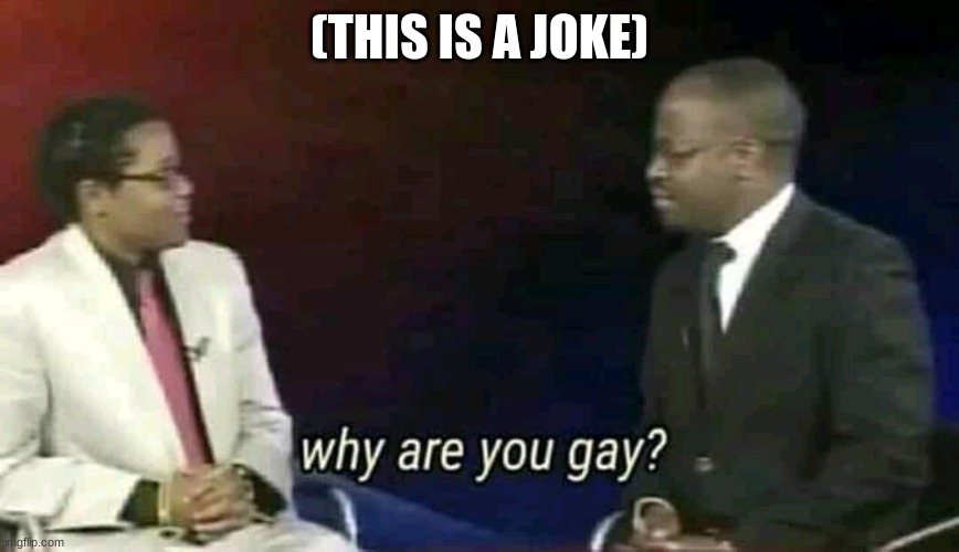 Why are you gay? | (THIS IS A JOKE) | image tagged in why are you gay | made w/ Imgflip meme maker