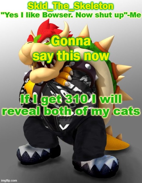 Kitties | Gonna say this now; If I get 310 I will reveal both of my cats | image tagged in skid/toof's drip bowser temp | made w/ Imgflip meme maker
