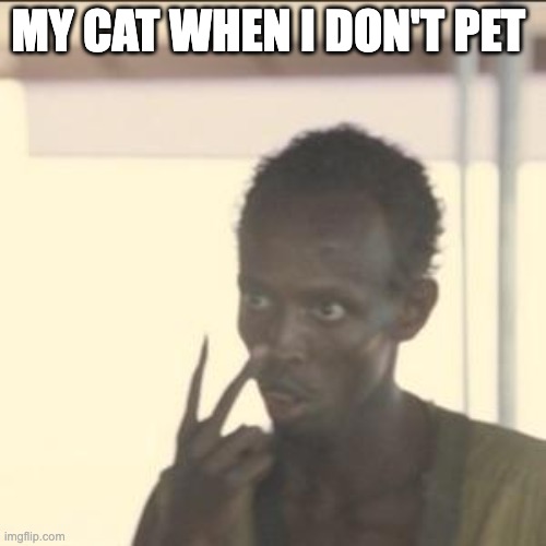 my cat when you don't pet it | MY CAT WHEN I DON'T PET | image tagged in memes,look at me | made w/ Imgflip meme maker