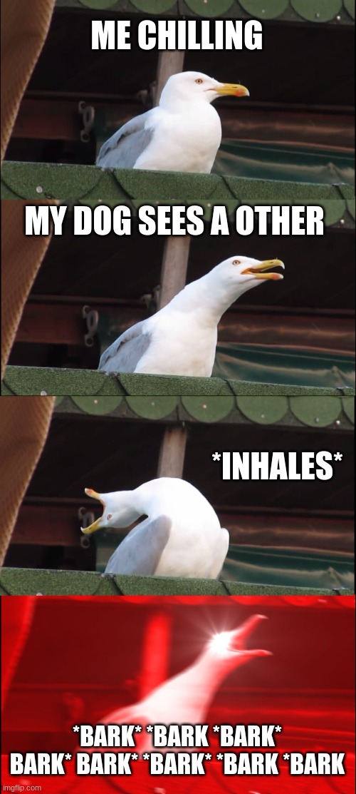 Inhaling Seagull | ME CHILLING; MY DOG SEES A OTHER; *INHALES*; *BARK* *BARK *BARK* BARK* BARK* *BARK* *BARK *BARK | image tagged in memes,inhaling seagull | made w/ Imgflip meme maker