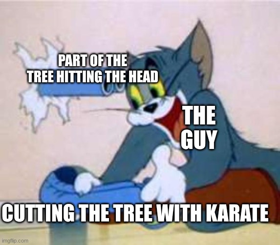 tom the cat shooting himself  | PART OF THE TREE HITTING THE HEAD CUTTING THE TREE WITH KARATE THE GUY | image tagged in tom the cat shooting himself | made w/ Imgflip meme maker