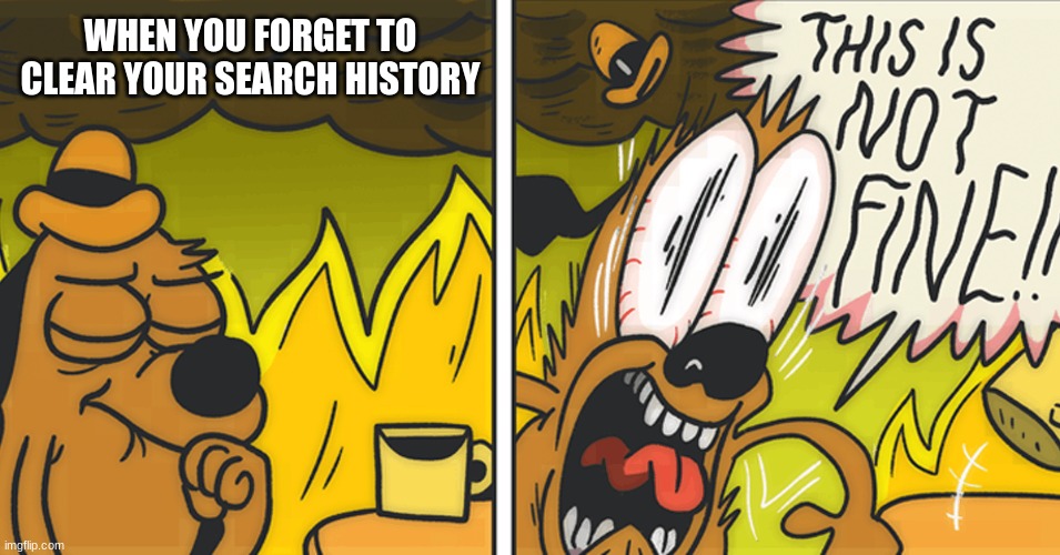 0-0 | WHEN YOU FORGET TO CLEAR YOUR SEARCH HISTORY | image tagged in this is not fine | made w/ Imgflip meme maker