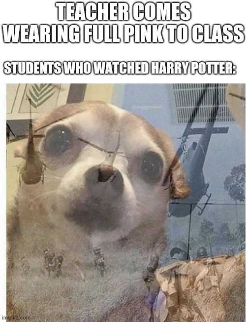 Oh no | TEACHER COMES WEARING FULL PINK TO CLASS; STUDENTS WHO WATCHED HARRY POTTER: | image tagged in ptsd chihuahua,school,teacher | made w/ Imgflip meme maker