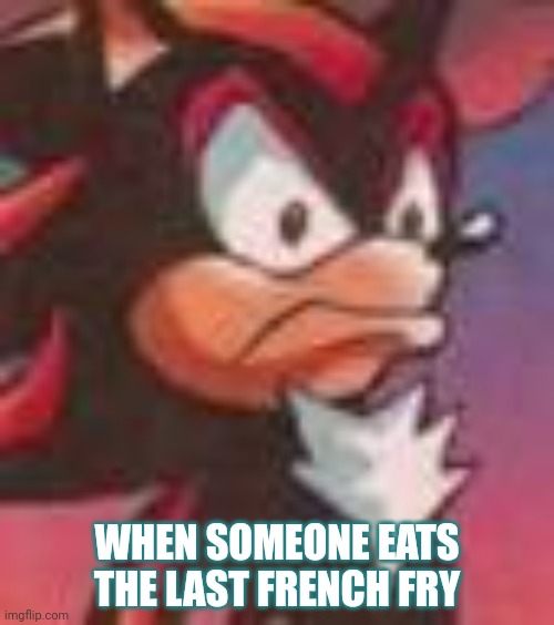 Shadow the Hedgehog | WHEN SOMEONE EATS THE LAST FRENCH FRY | image tagged in shadow the hedgehog | made w/ Imgflip meme maker