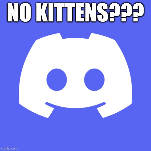 NO KITTENS??? | image tagged in discord | made w/ Imgflip meme maker