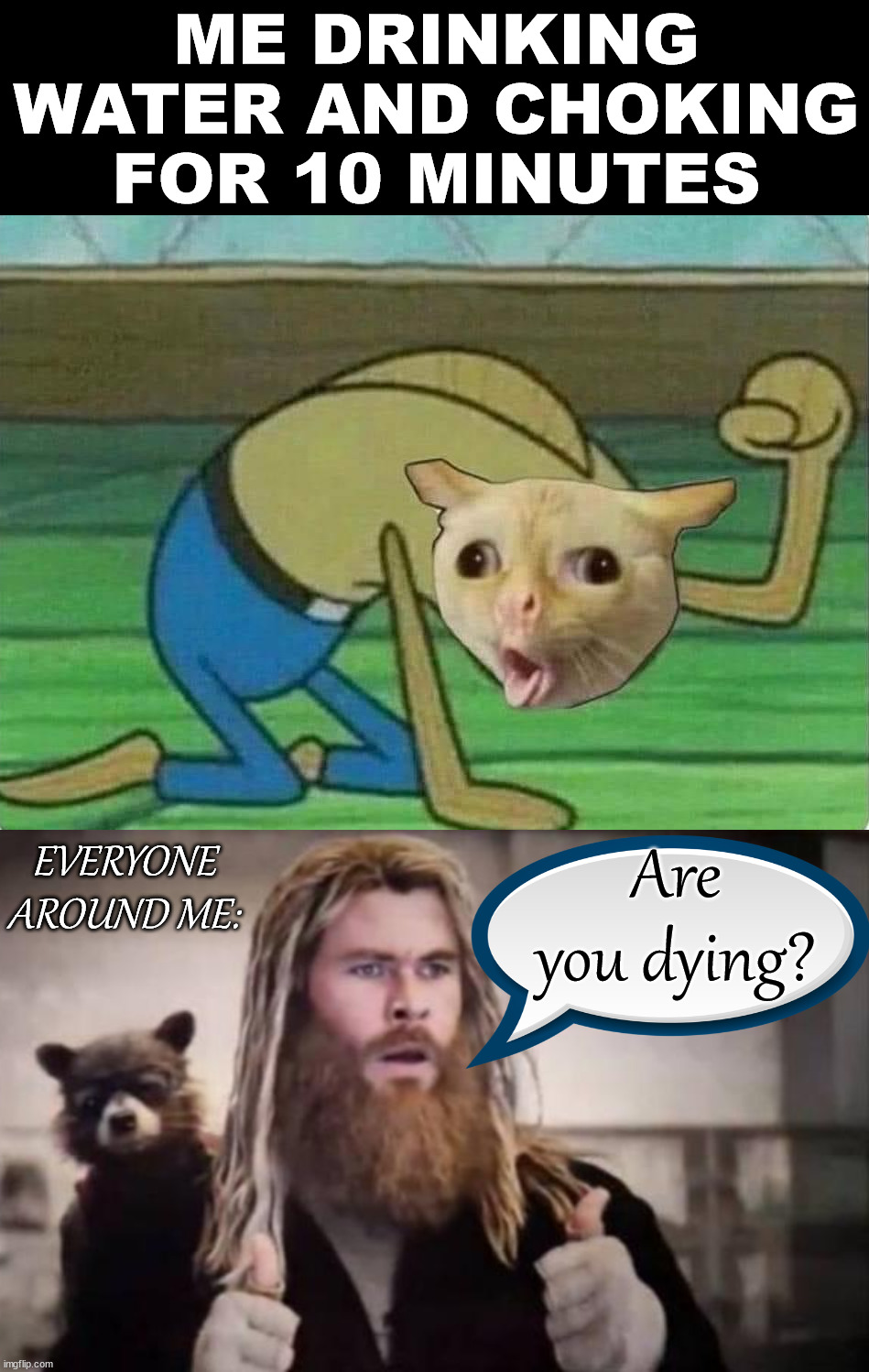 Who else chokes on water every day? | ME DRINKING WATER AND CHOKING FOR 10 MINUTES; EVERYONE AROUND ME:; Are you dying? | image tagged in impressed thor,choking,water,what is wrong with you | made w/ Imgflip meme maker