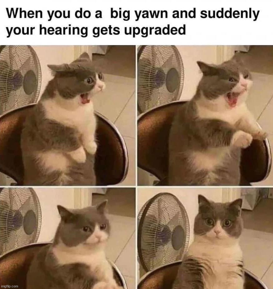 Better hearing | image tagged in yawning | made w/ Imgflip meme maker