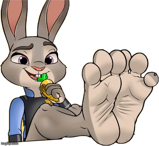 Judy Hopps Feet | image tagged in judy hopps feet | made w/ Imgflip meme maker