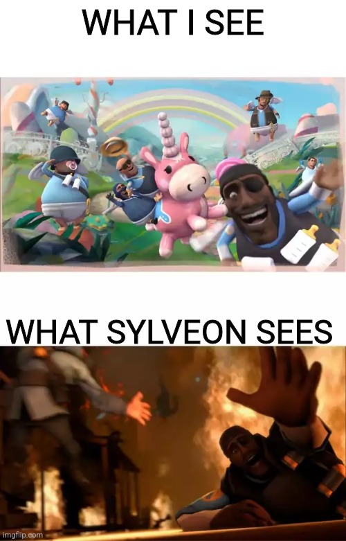 Pyrovision | WHAT I SEE; WHAT SYLVEON SEES | image tagged in pyrovision | made w/ Imgflip meme maker