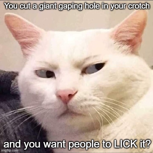 Being trans is NOT mental illness! | You cut a giant gaping hole in your crotch; and you want people to LICK it? | image tagged in skeptical cat | made w/ Imgflip meme maker