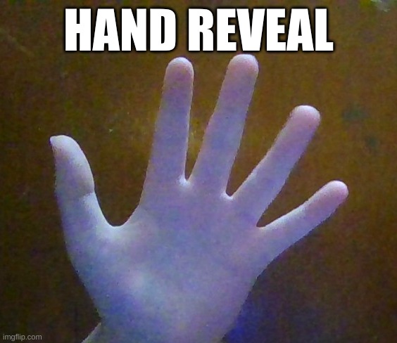 Sorry for the bad photo. 20 upvotes and I will do a pet reveal. | HAND REVEAL | made w/ Imgflip meme maker