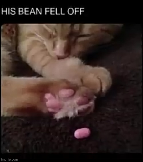 His bean fell off | image tagged in uh oh | made w/ Imgflip meme maker