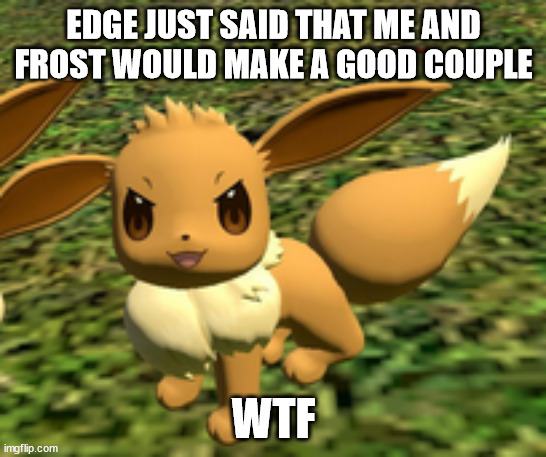 evil eevee | EDGE JUST SAID THAT ME AND FROST WOULD MAKE A GOOD COUPLE; WTF | image tagged in evil eevee | made w/ Imgflip meme maker