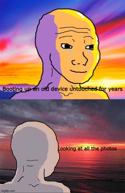 It's true story tho. | Booting up an old device untouched for years; Looking at all the photos | image tagged in wojak nostalgia | made w/ Imgflip meme maker