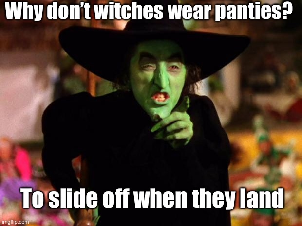 Witchy Pun or Punny Witch? | To slide off when they land Why don’t witches wear panties? | image tagged in wicked witch,witch,broom,slide,waterslide | made w/ Imgflip meme maker