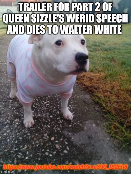 High quality Huh Dog | TRAILER FOR PART 2 OF QUEEN SIZZLE'S WERID SPEECH AND DIES TO WALTER WHITE; https://www.youtube.com/watch?v=e39C_fS2Fh8 | image tagged in high quality huh dog | made w/ Imgflip meme maker