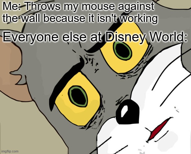 Unsettled Tom |  Me: Throws my mouse against the wall because it isn't working; Everyone else at Disney World: | image tagged in memes,unsettled tom,disney,mouse | made w/ Imgflip meme maker