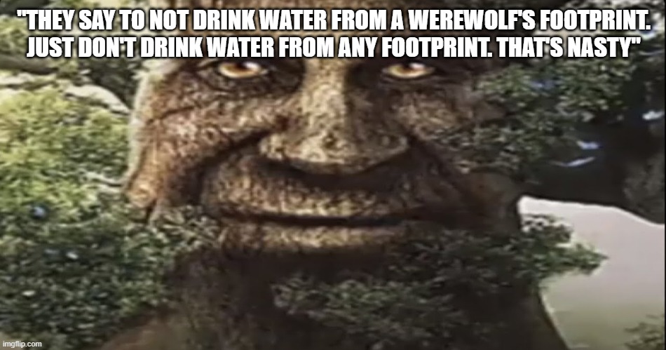 advice from the tree | "THEY SAY TO NOT DRINK WATER FROM A WEREWOLF'S FOOTPRINT. JUST DON'T DRINK WATER FROM ANY FOOTPRINT. THAT'S NASTY" | image tagged in wise mystical tree,memes,footprint | made w/ Imgflip meme maker