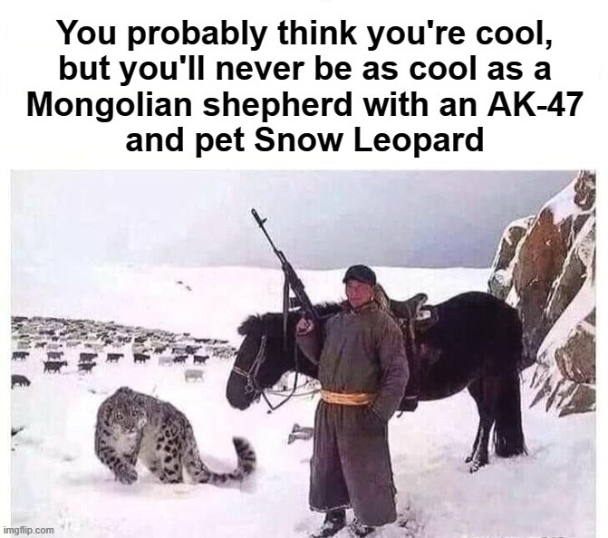 image tagged in mongolia,asia,ak47,snow leopard,shepherd | made w/ Imgflip meme maker