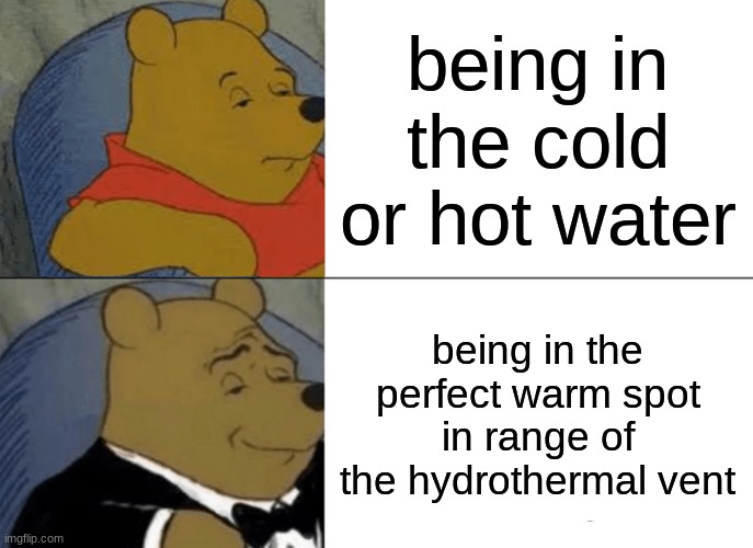 goofy ahh for school | being in the cold or hot water; being in the perfect warm spot in range of the hydrothermal vent | image tagged in memes,tuxedo winnie the pooh | made w/ Imgflip meme maker