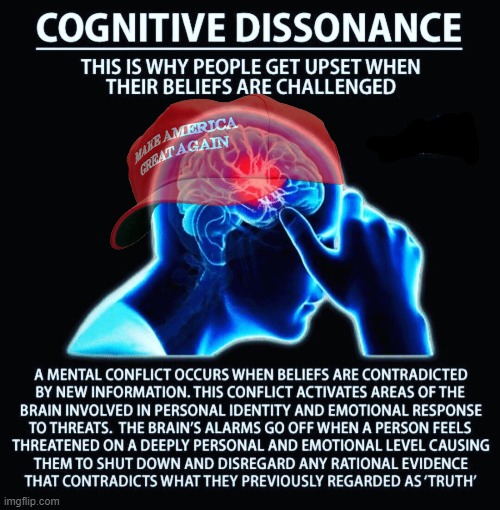 the poor little buggers shut down! homie cant play that. somethings wrong upstairs. muh head hurts..... | image tagged in cognitive dissonance,you have become the very thing you swore to destroy,mental,shutdown,iq,too damn low | made w/ Imgflip meme maker