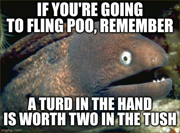 Oh ffs | IF YOU'RE GOING TO FLING POO, REMEMBER; A TURD IN THE HAND IS WORTH TWO IN THE TUSH | image tagged in memes,bad joke eel | made w/ Imgflip meme maker