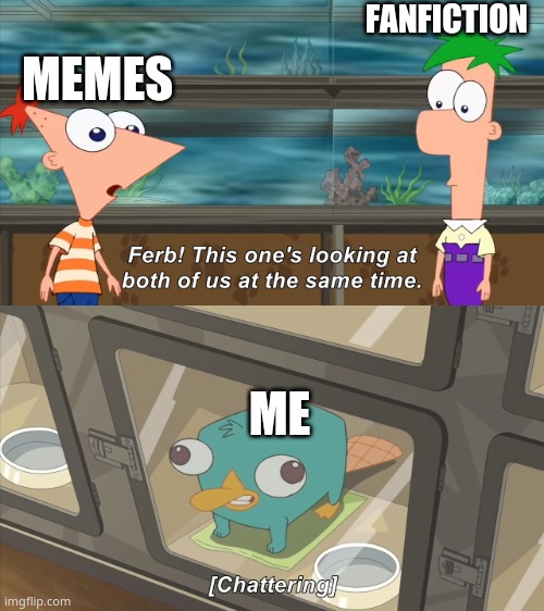 My school day in a Nutshell | FANFICTION; MEMES; ME | image tagged in phineas and ferb | made w/ Imgflip meme maker