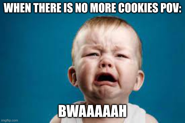 WHEN THERE IS NO MORE COOKIES POV:; BWAAAAAH | image tagged in memes | made w/ Imgflip meme maker