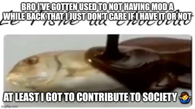 Le Fishe au chocolat | BRO I'VE GOTTEN USED TO NOT HAVING MOD A WHILE BACK THAT I JUST DON'T CARE IF I HAVE IT OR NOT; AT LEAST I GOT TO CONTRIBUTE TO SOCIETY 🤷‍♂️ | made w/ Imgflip meme maker