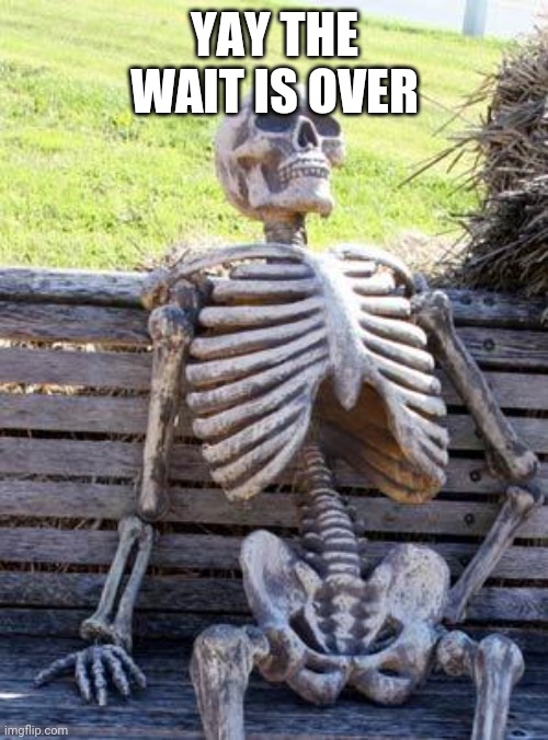 Waiting Skeleton Meme | YAY THE WAIT IS OVER | image tagged in memes,waiting skeleton | made w/ Imgflip meme maker