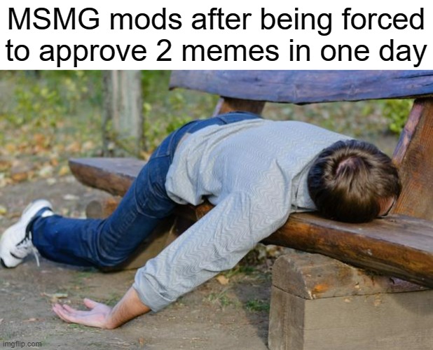 very laborious work. | MSMG mods after being forced to approve 2 memes in one day | image tagged in exhausted | made w/ Imgflip meme maker