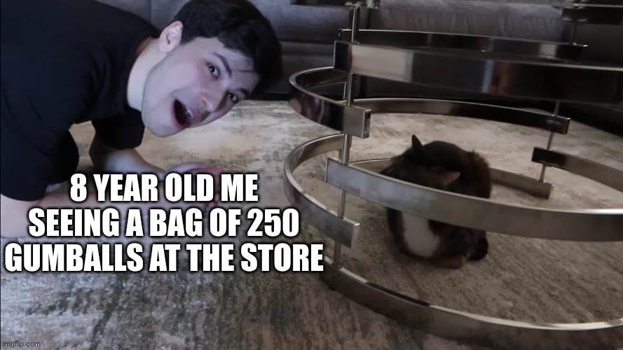 George meets Dreams Cat | 8 YEAR OLD ME SEEING A BAG OF 250 GUMBALLS AT THE STORE | image tagged in george meets dreams cat | made w/ Imgflip meme maker