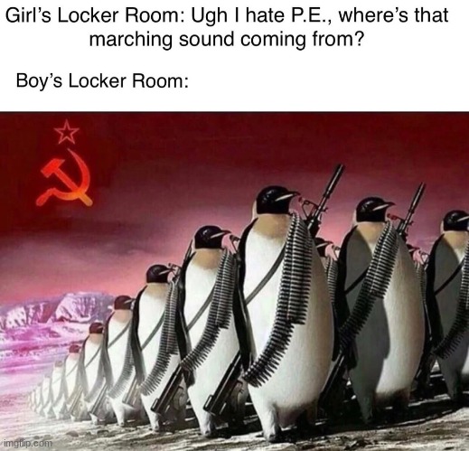 image tagged in soviet penguins | made w/ Imgflip meme maker