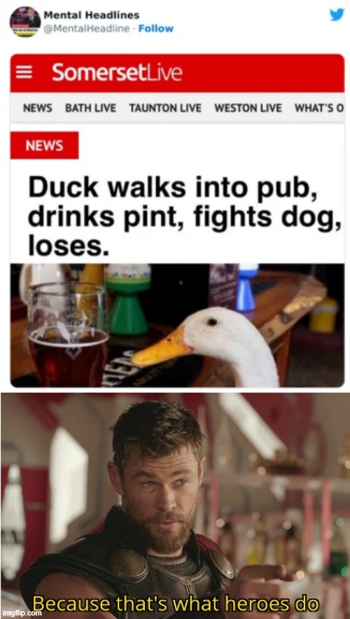 Duck Fight | image tagged in that s what heroes do | made w/ Imgflip meme maker