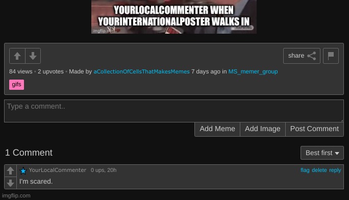 made w/ Imgflip meme maker