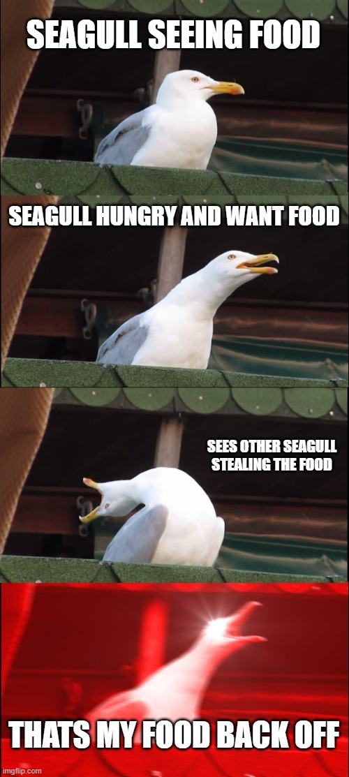 Inhaling Seagull | SEAGULL SEEING FOOD; SEAGULL HUNGRY AND WANT FOOD; SEES OTHER SEAGULL STEALING THE FOOD; THATS MY FOOD BACK OFF | image tagged in memes,inhaling seagull | made w/ Imgflip meme maker