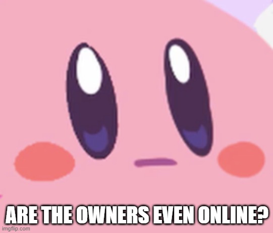 Blank Kirby Face | ARE THE OWNERS EVEN ONLINE? | image tagged in blank kirby face | made w/ Imgflip meme maker
