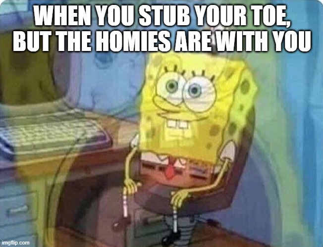 spongebob screaming inside | WHEN YOU STUB YOUR TOE, BUT THE HOMIES ARE WITH YOU | image tagged in spongebob screaming inside | made w/ Imgflip meme maker