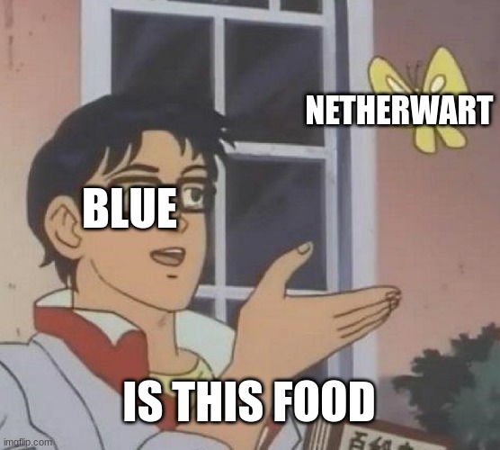 AvM meme | NETHERWART; BLUE; IS THIS FOOD | image tagged in memes,is this a pigeon | made w/ Imgflip meme maker