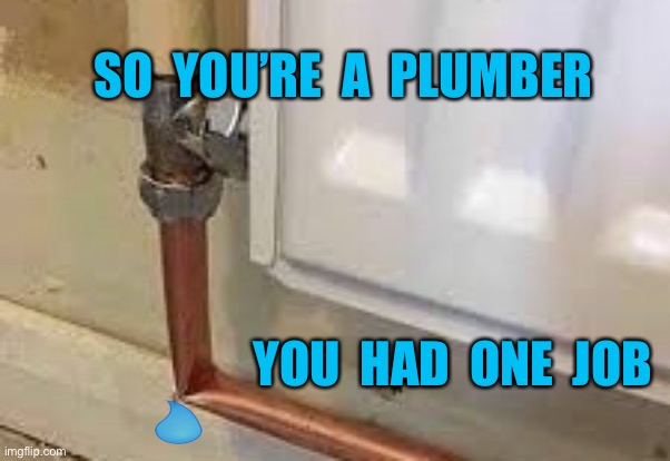 The plumber | SO  YOU’RE  A  PLUMBER; YOU  HAD  ONE  JOB | image tagged in call yourself a plumber,so you are a,plumber,you had one job | made w/ Imgflip meme maker
