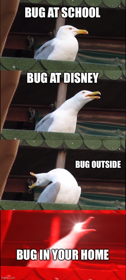 bugs | BUG AT SCHOOL; BUG AT DISNEY; BUG OUTSIDE; BUG IN YOUR HOME | image tagged in memes,inhaling seagull | made w/ Imgflip meme maker