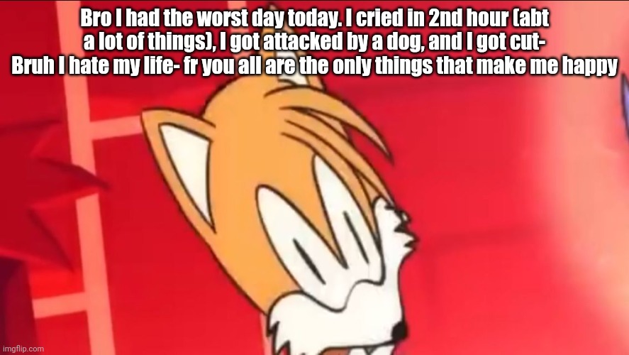 Tails wait what | Bro I had the worst day today. I cried in 2nd hour (abt a lot of things), I got attacked by a dog, and I got cut- Bruh I hate my life- fr you all are the only things that make me happy | image tagged in tails wait what | made w/ Imgflip meme maker