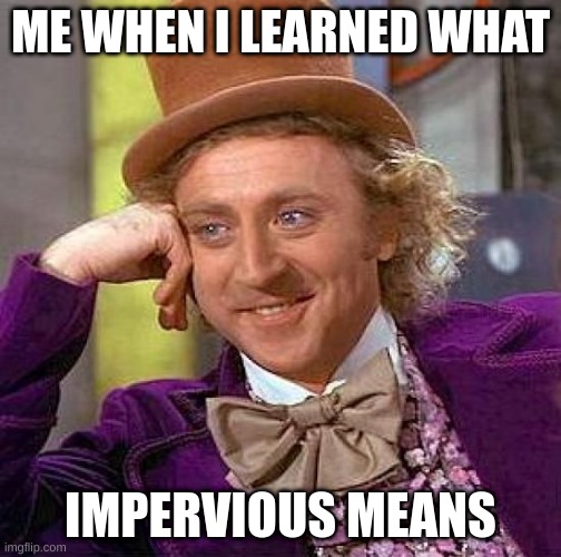 Creepy Condescending Wonka | ME WHEN I LEARNED WHAT; IMPERVIOUS MEANS | image tagged in memes,creepy condescending wonka | made w/ Imgflip meme maker