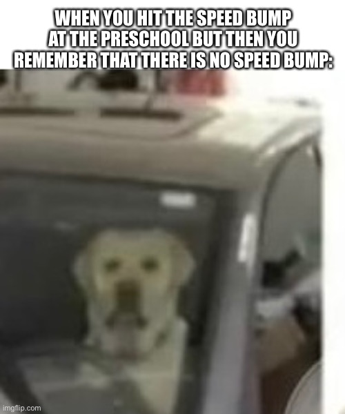 Oh, no | WHEN YOU HIT THE SPEED BUMP AT THE PRESCHOOL BUT THEN YOU REMEMBER THAT THERE IS NO SPEED BUMP: | image tagged in dog,dark,speed bump,funny | made w/ Imgflip meme maker