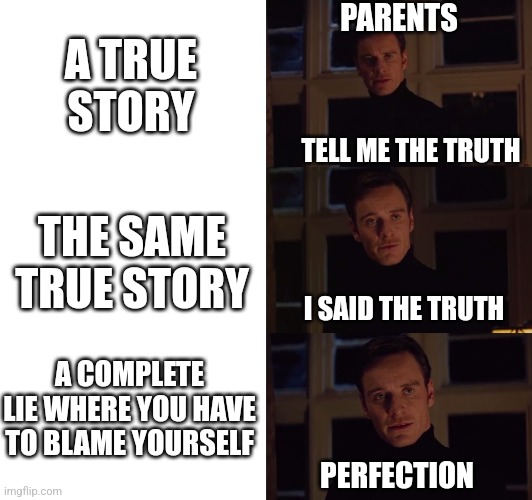 Parents | PARENTS; A TRUE STORY; TELL ME THE TRUTH; THE SAME TRUE STORY; I SAID THE TRUTH; A COMPLETE LIE WHERE YOU HAVE TO BLAME YOURSELF; PERFECTION | image tagged in perfection | made w/ Imgflip meme maker