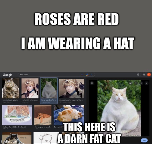 the image owner of there even stated that their cat was fat | ROSES ARE RED; I AM WEARING A HAT; THIS HERE IS A DARN FAT CAT | image tagged in darn fat cat,cat,fat cat | made w/ Imgflip meme maker